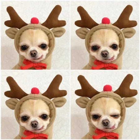 Adorable Dog Costumes: Funny Elk Outfit For Small Dogs