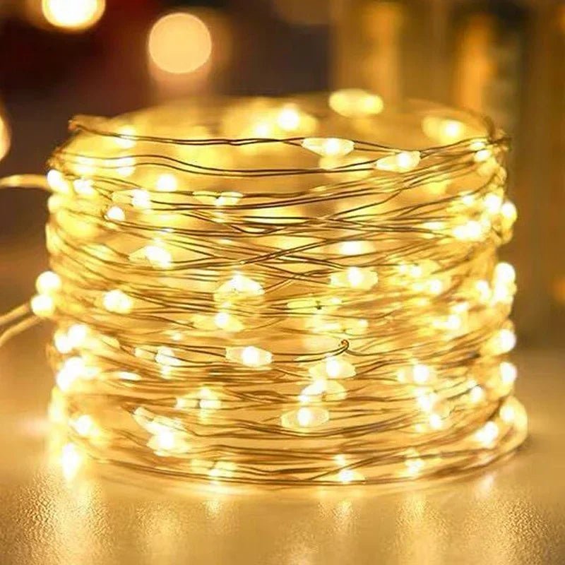 Battery Operated LED Lights - Whimsical String Lights