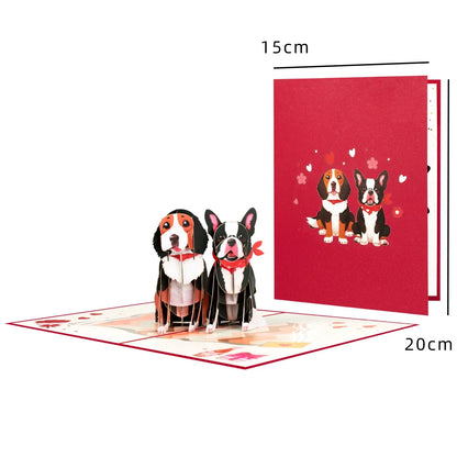 3D Flower Pop - Up Cards - Cake Pops Parties
