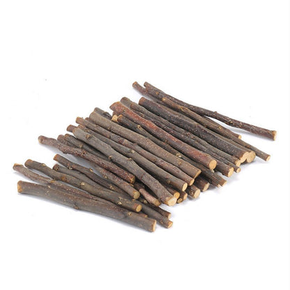 Apple Branch Bites for Small Pets - Cake Pops Parties