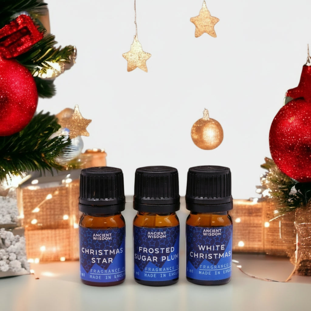 Mince Pie & Brandy Sauce Fragrance Oil featured in the Festive Delights set, offering delightful holiday fragrance oils for all.