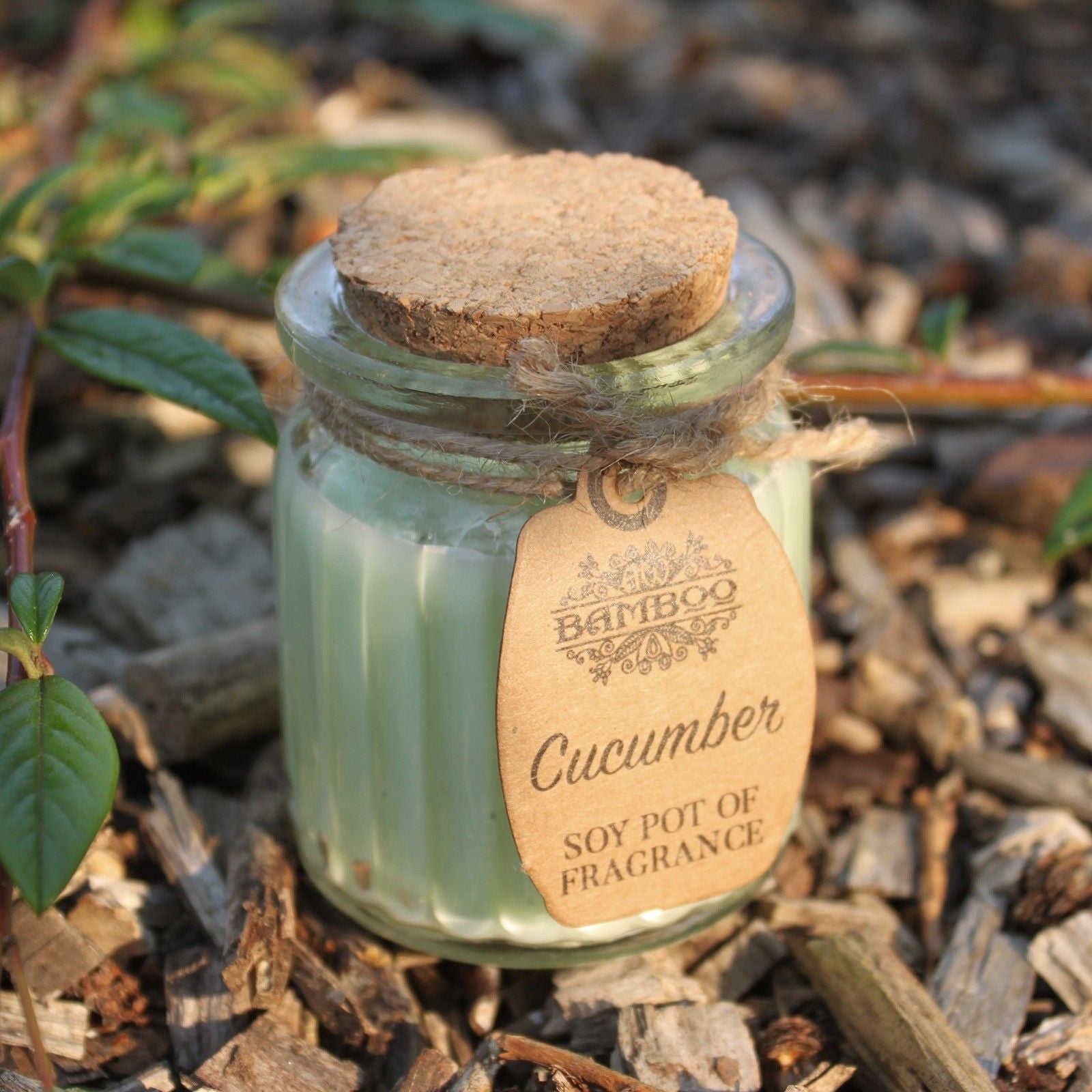 Cucumber Soy Wax Candle nestled among natural elements, highlighting its eco-friendly design, making it a thoughtful Christmas gift for home fragrance lovers.