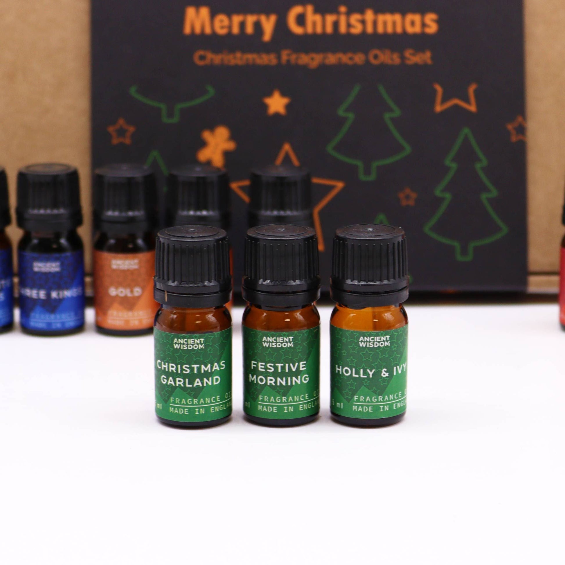 Holy Scents Christmas Fragrance Oils Set - a festive delight with 12 intricate fragrances to enhance your holiday spirit.