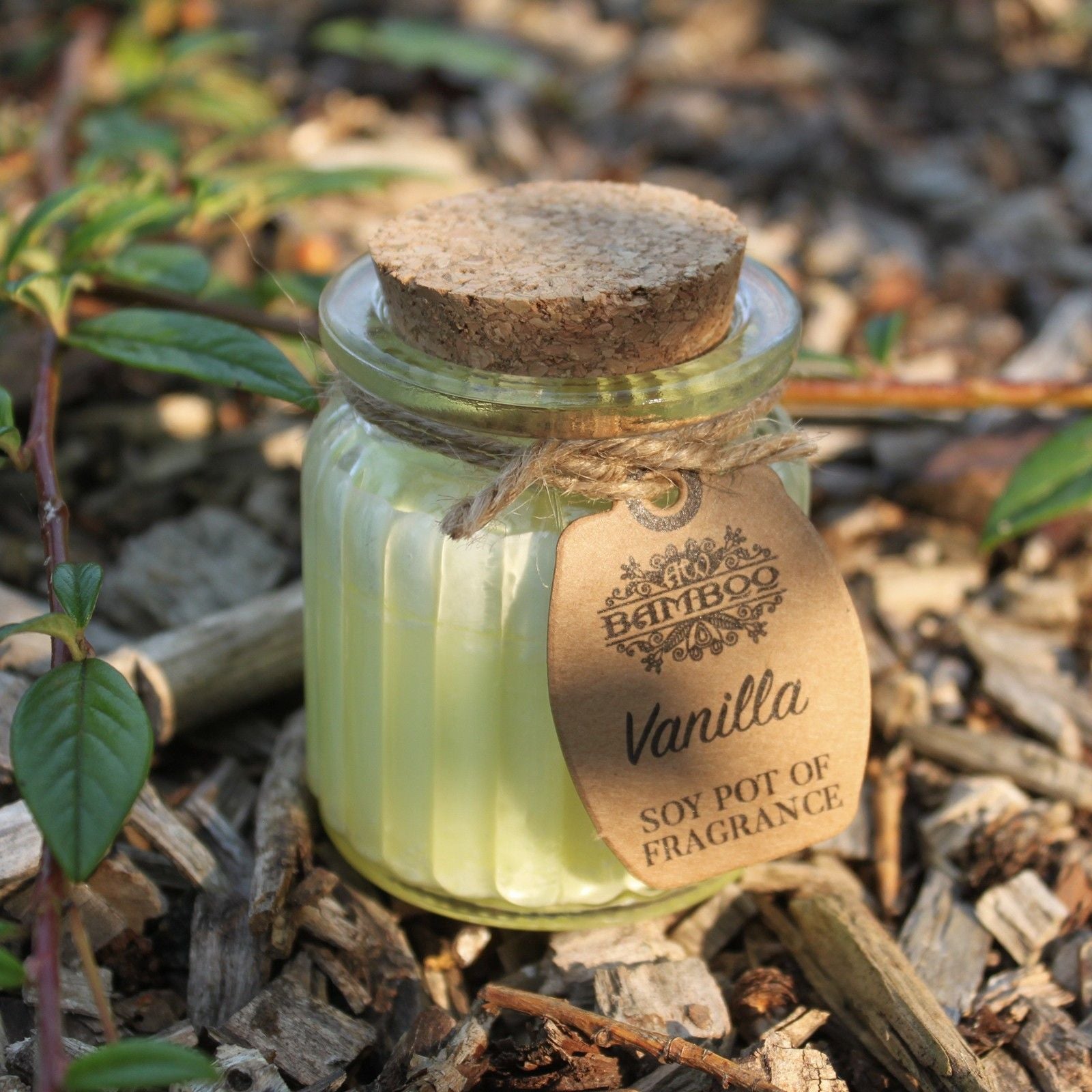 Vanilla Scented Soy Candle in Reusable Glass Jar - Eco-Friendly 20hr Burn Time featured outdoors among greenery, showcasing its natural appeal. A perfect choice for a {{scent}} {{product_type}} – Christmas Gift Home Fragrance.