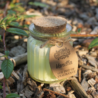 Vanilla Scented Soy Candle in Reusable Glass Jar - Eco-Friendly 20hr Burn Time featured outdoors among greenery, showcasing its natural appeal. A perfect choice for a {{scent}} {{product_type}} – Christmas Gift Home Fragrance.
