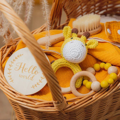 Baby Bath Toy Set & Swaddle Wrap - Cake Pops Parties