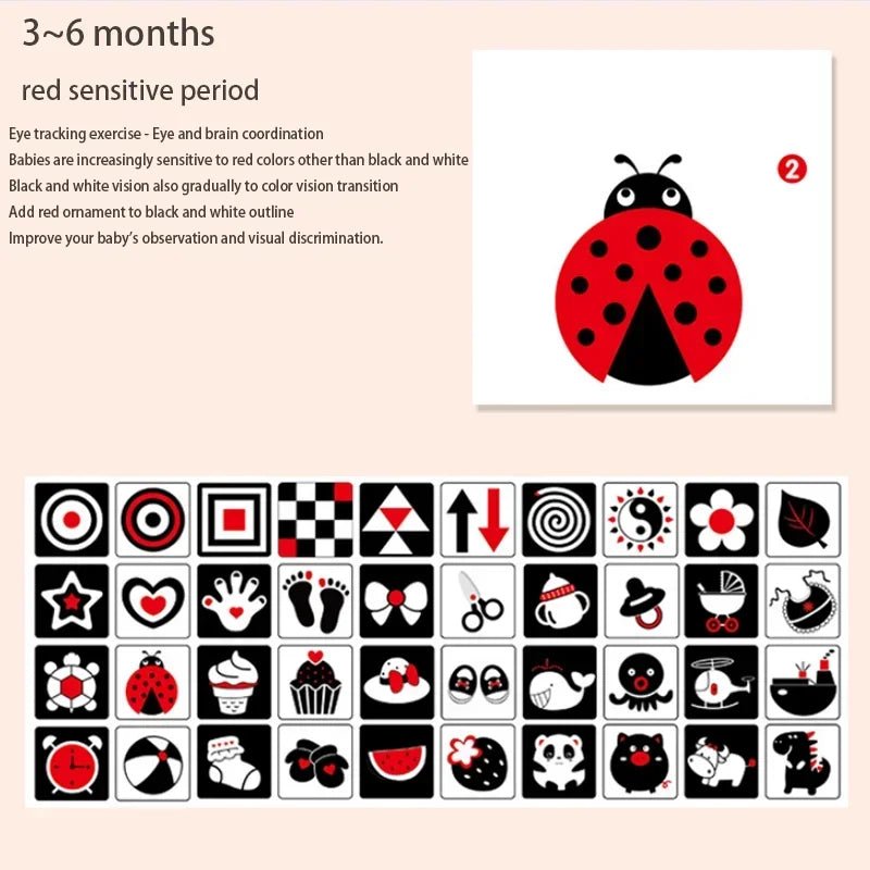 Baby Visual Gift Stimulation Flash Cards - Cake Pops Parties