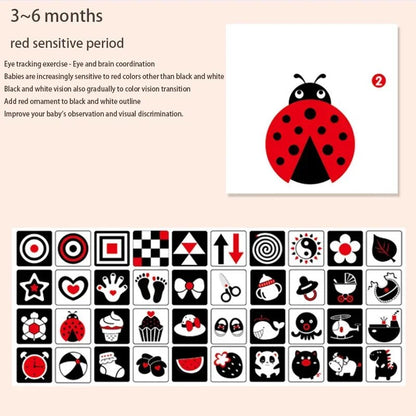 Baby Visual Gift Stimulation Flash Cards - Cake Pops Parties