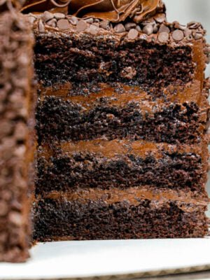 Chocolate Fudge Cake - Cake Pops Parties