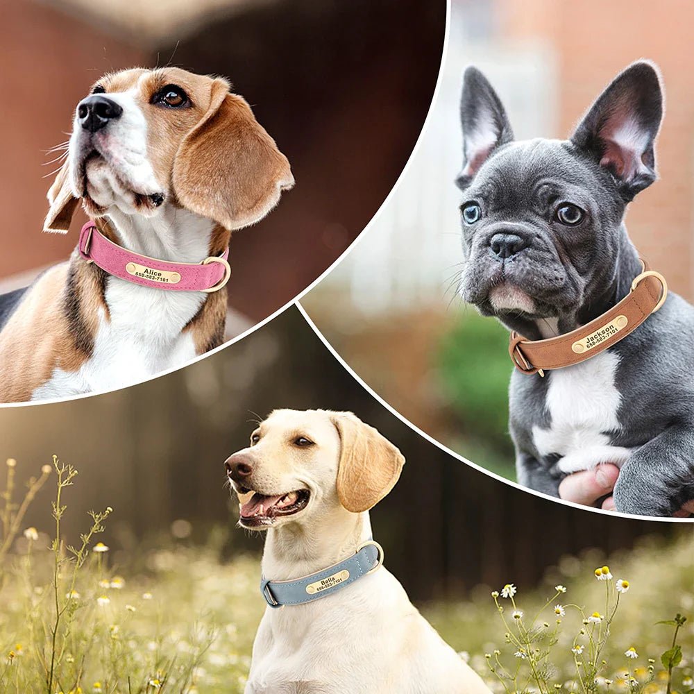 Custom Engraved Dog Collar - Personalized ID Tag Nameplate - Cake Pops Parties