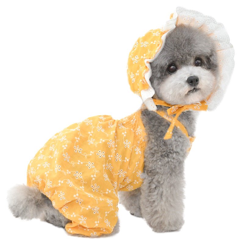 Cute Pet Hat Set - Blue/White/Yellow - Cake Pops Parties
