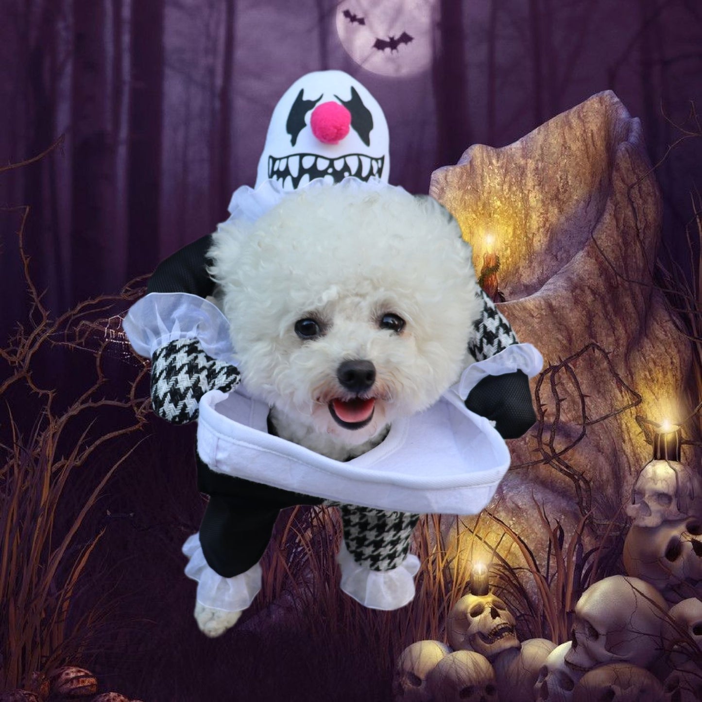 Demon Transformation Halloween Pet Costume - Cake Pops Parties
