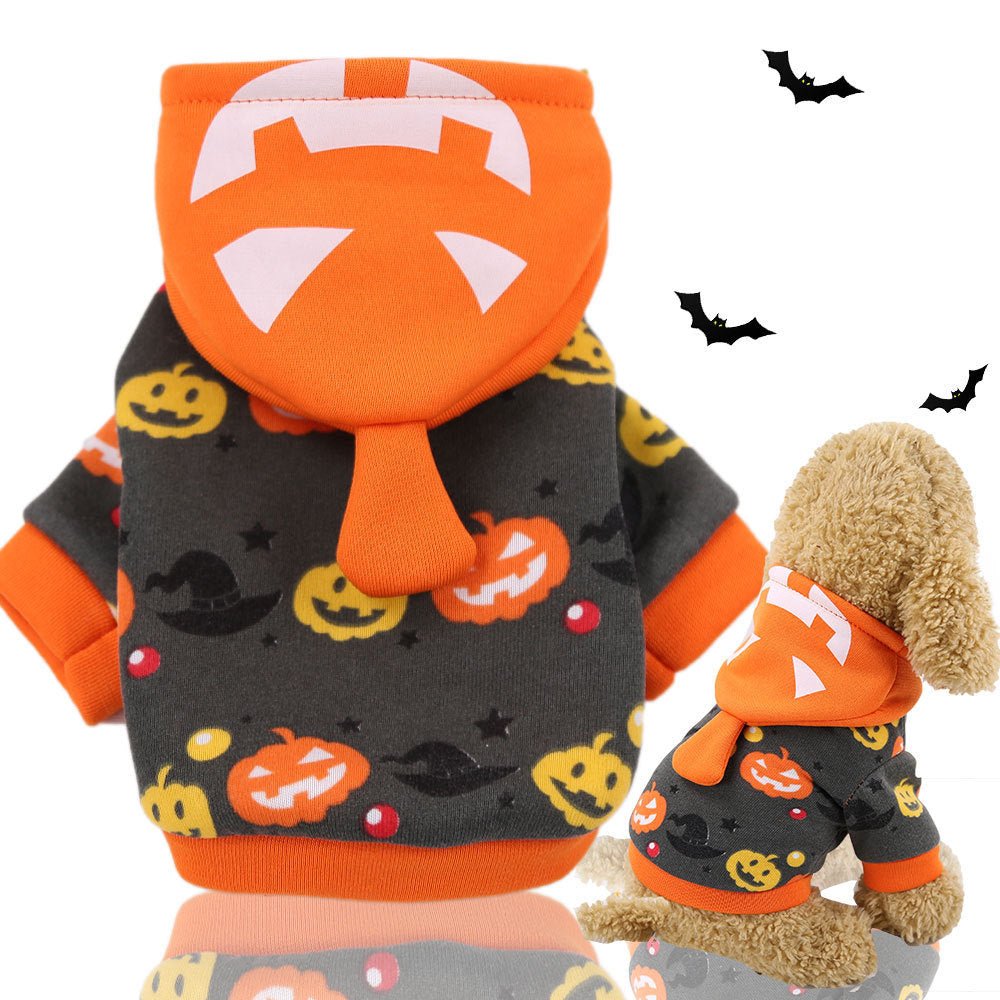 Funny Pumpkin Lamp Pet Costume - Cake Pops Parties
