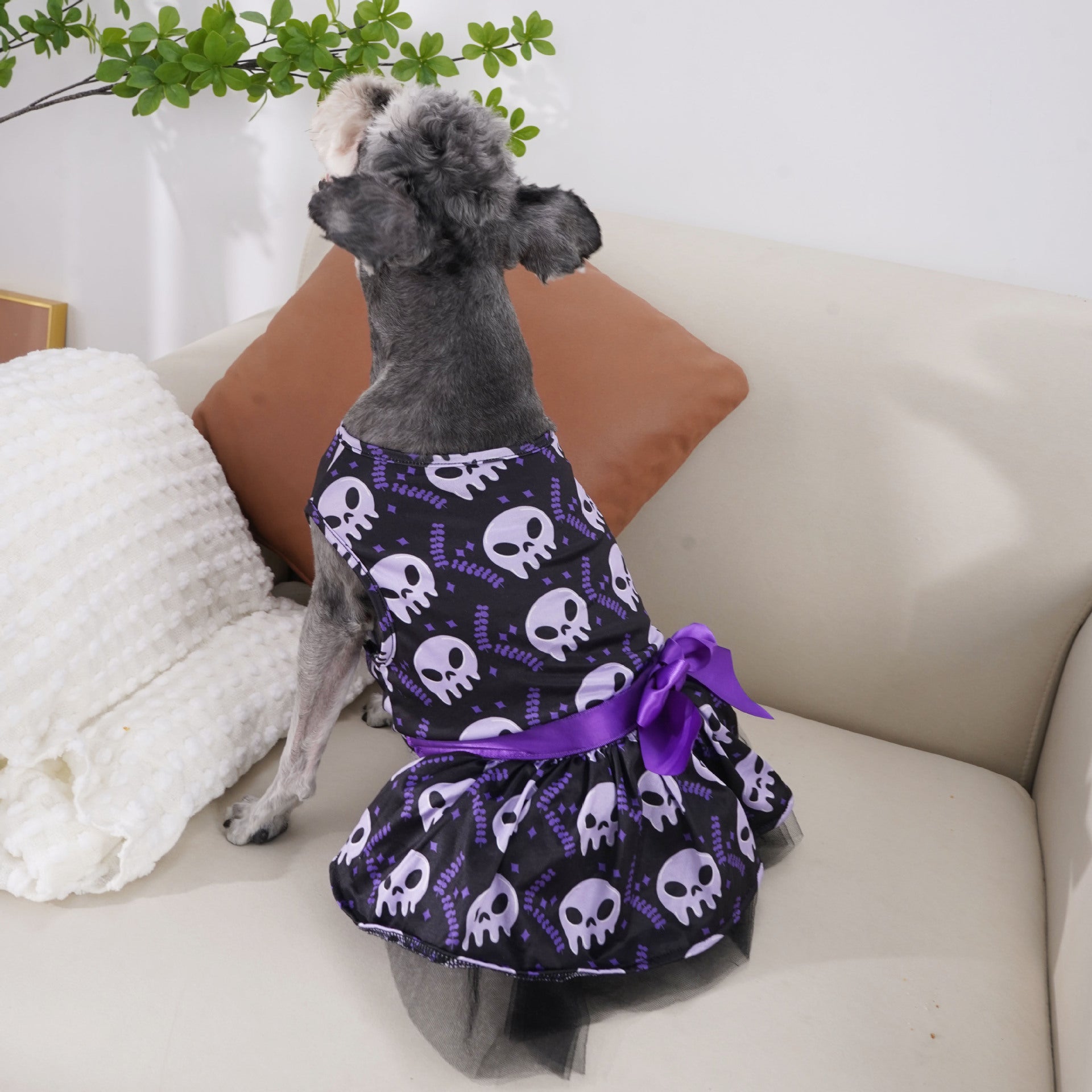 Halloween Dog Cape - Colorful Skull Design - Cake Pops Parties