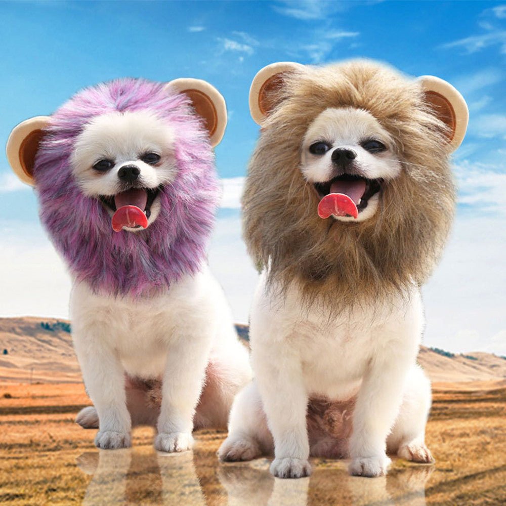 Halloween Ghost Lion Pet Hat - Cake Pops Parties