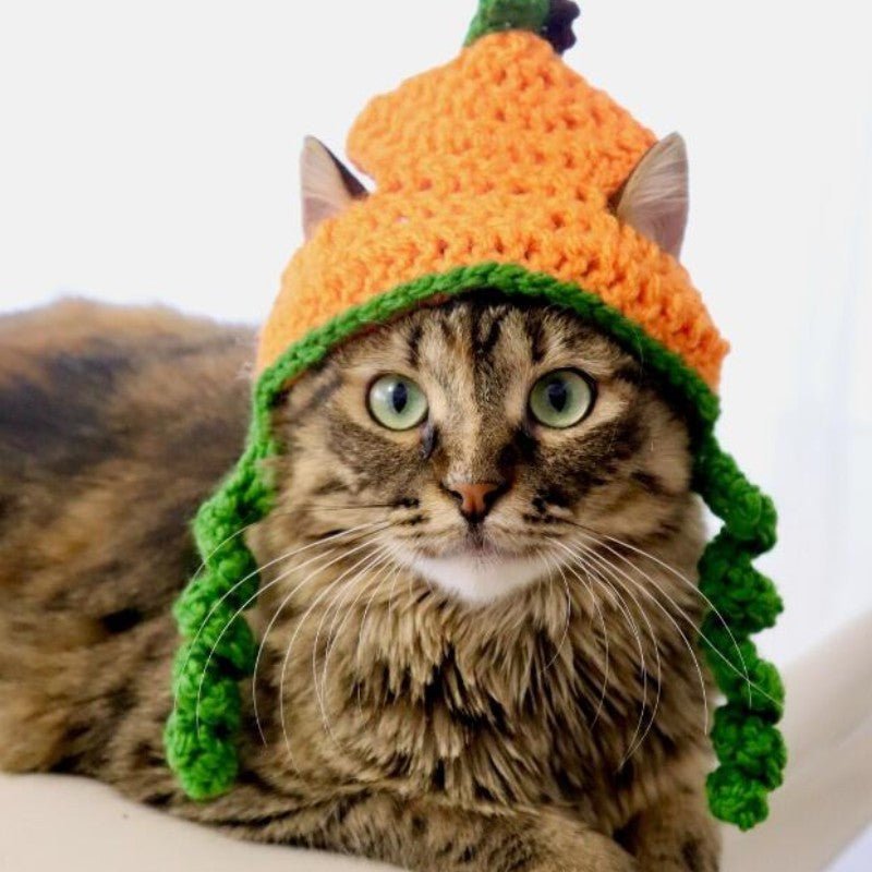 Halloween Pet Costume Hat - Cake Pops Parties