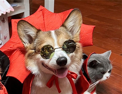 Halloween Pet Costume - Vampire King Cape - Cake Pops Parties