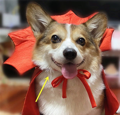 Halloween Pet Costume - Vampire King Cape - Cake Pops Parties