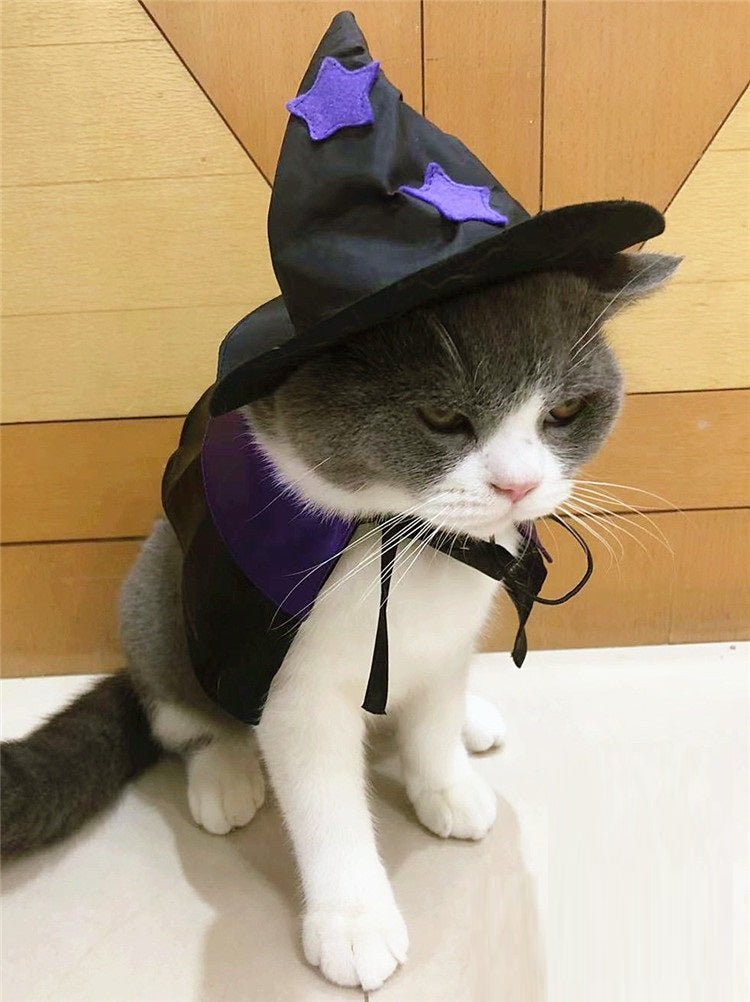 Magical Wizard Pet Costume Set - Cake Pops Parties