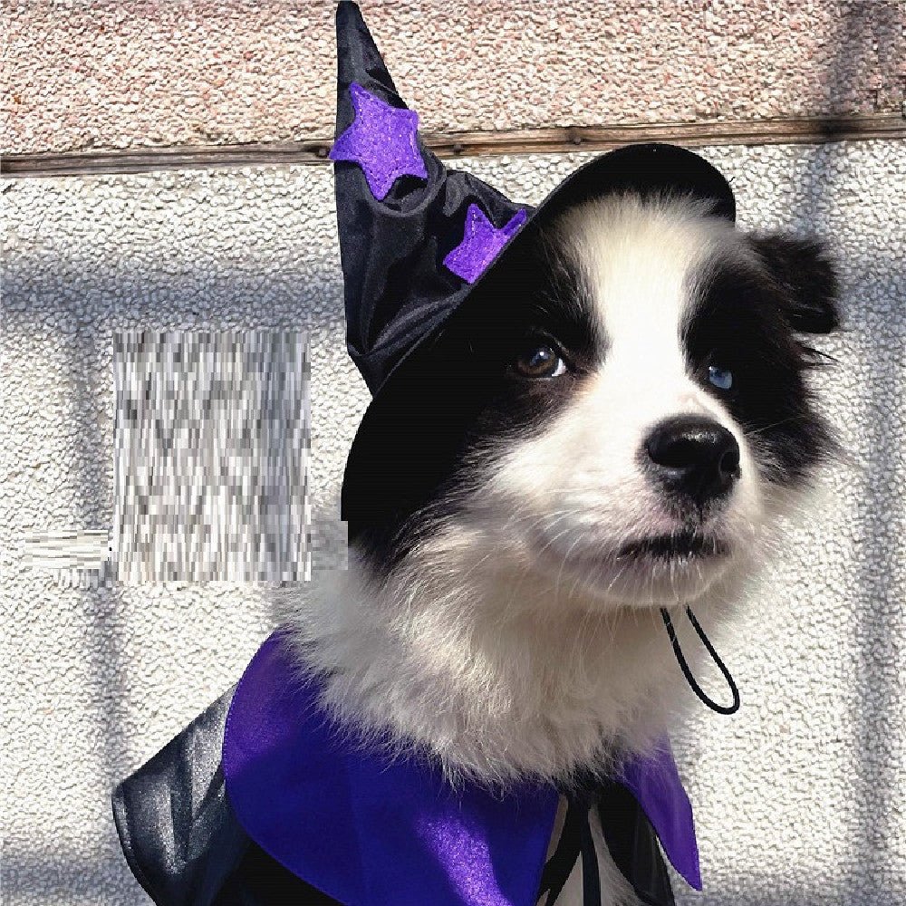 Magical Wizard Pet Costume Set - Cake Pops Parties