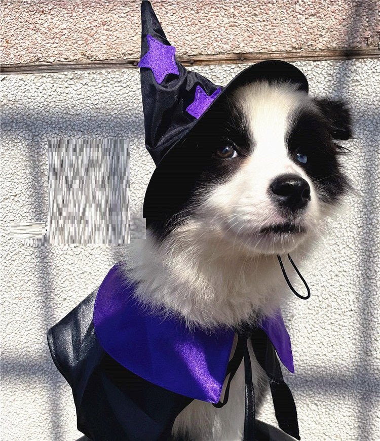Magical Wizard Pet Costume Set - Cake Pops Parties