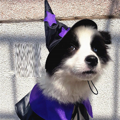 Magical Wizard Pet Costume Set - Cake Pops Parties