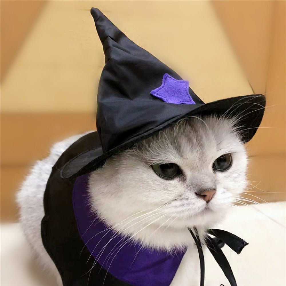 Magical Wizard Pet Costume Set - Cake Pops Parties