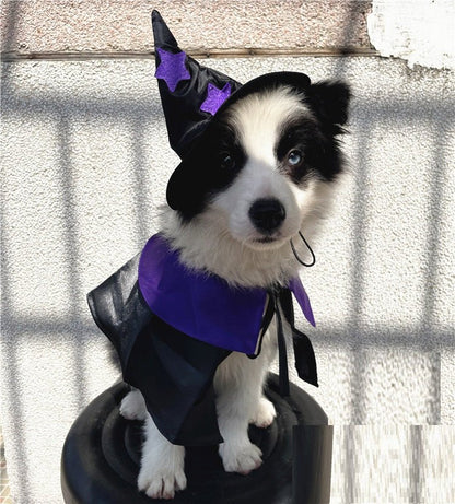 Magical Wizard Pet Costume Set - Cake Pops Parties