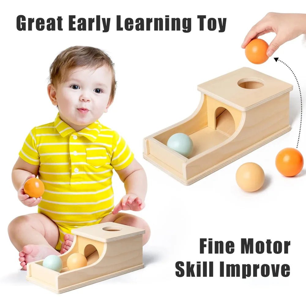 Montessori Infant Wooden Coin Ball Drum - Cake Pops Parties