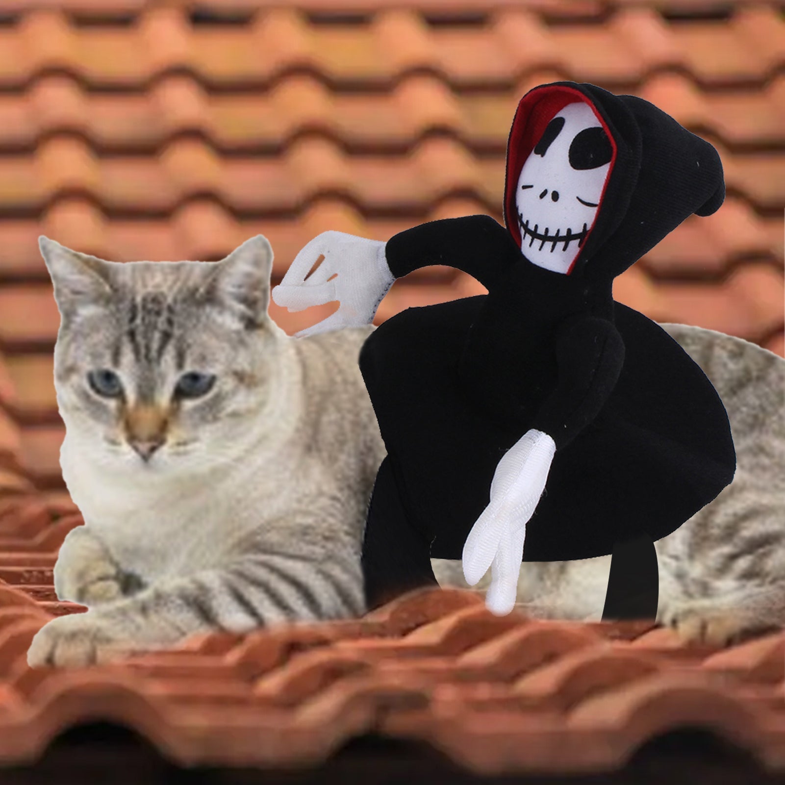 NEW Funny Pet Halloween Costume - Cake Pops Parties
