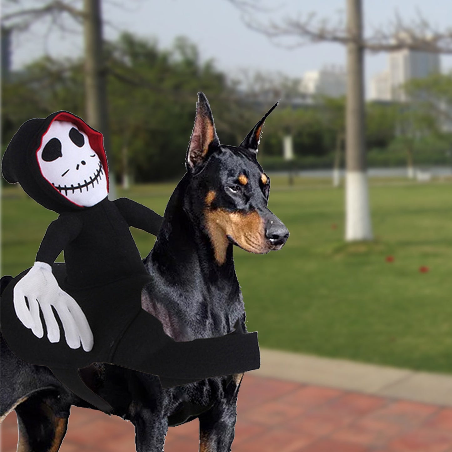 NEW Funny Pet Halloween Costume - Cake Pops Parties