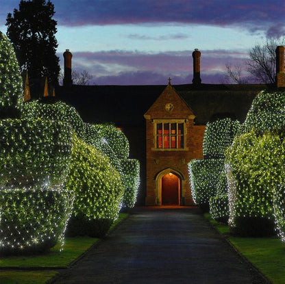 Outdoor Christmas LED String Lights - Cake Pops Parties