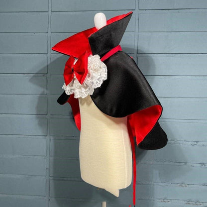 Pet Halloween Vampire Cloak - Cake Pops Parties