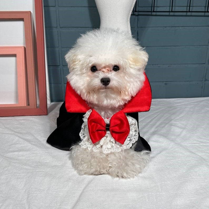 Pet Halloween Vampire Cloak - Cake Pops Parties