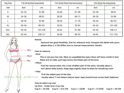 Plus Size One Piece Swimdress with Shorts | Mesh Hollow Design Swimsuit - Cake Pops Parties