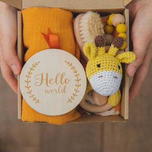 Premium Baby Teething Toy Gift Set - Cake Pops Parties
