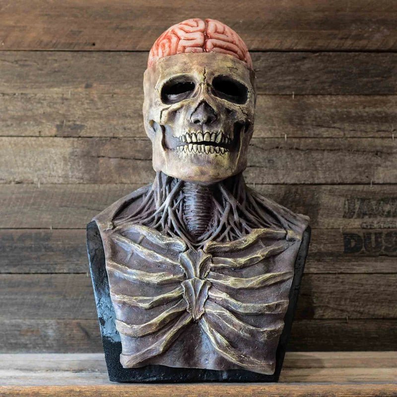 Realistic 3D Skull Mask with Movable Jaw - Cake Pops Parties