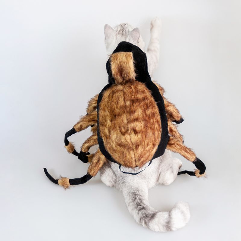 Spider Pet Costume for Halloween Cosplay - Cake Pops Parties